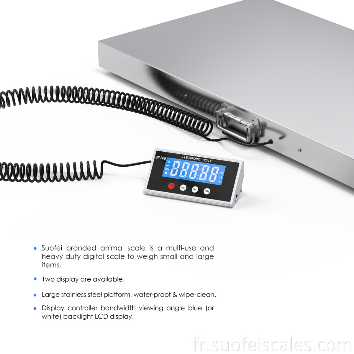 200 kg 300kg 500kg bétail bétail en acier inoxydable plate-forme numérique Plator Pet Peading Veterinary Scale